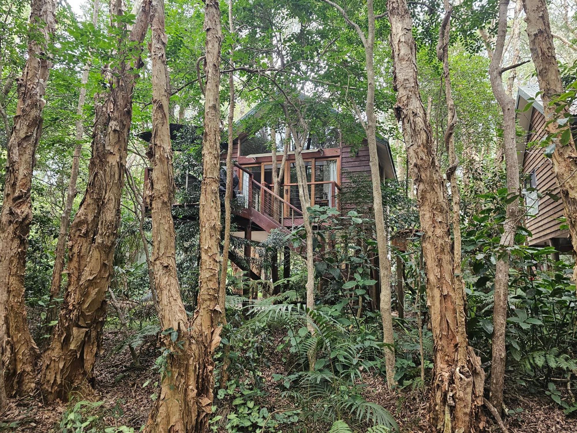Wanderers Retreat Hotel Vịnh Nelson Ngoại thất bức ảnh