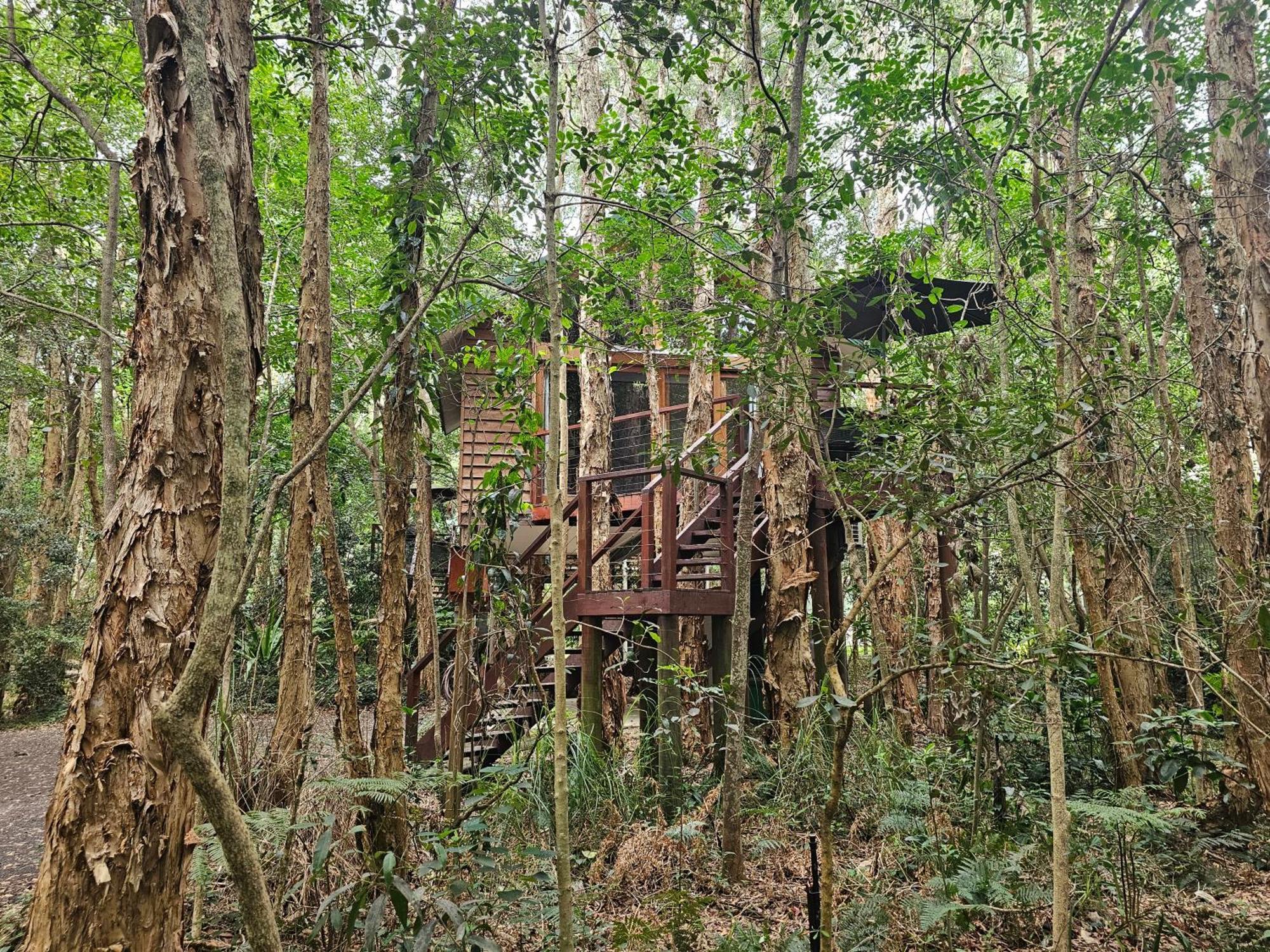 Wanderers Retreat Hotel Vịnh Nelson Ngoại thất bức ảnh